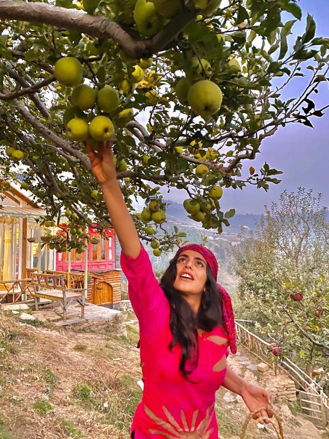 Meena Bagh Ratnari- An Apple Orchard Bungalow Bagi Exterior foto