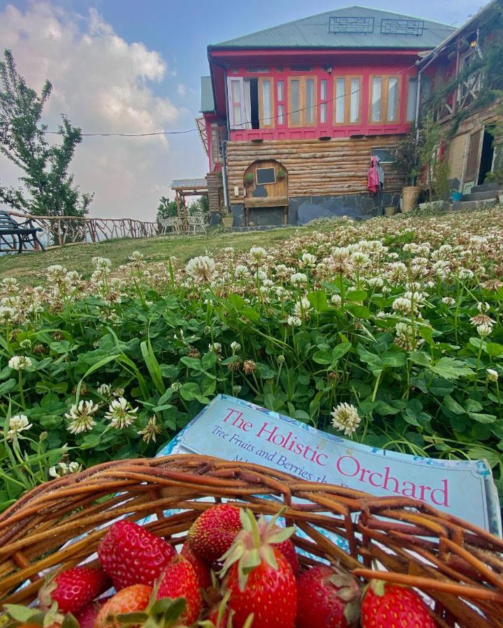 Meena Bagh Ratnari- An Apple Orchard Bungalow Bagi Exterior foto